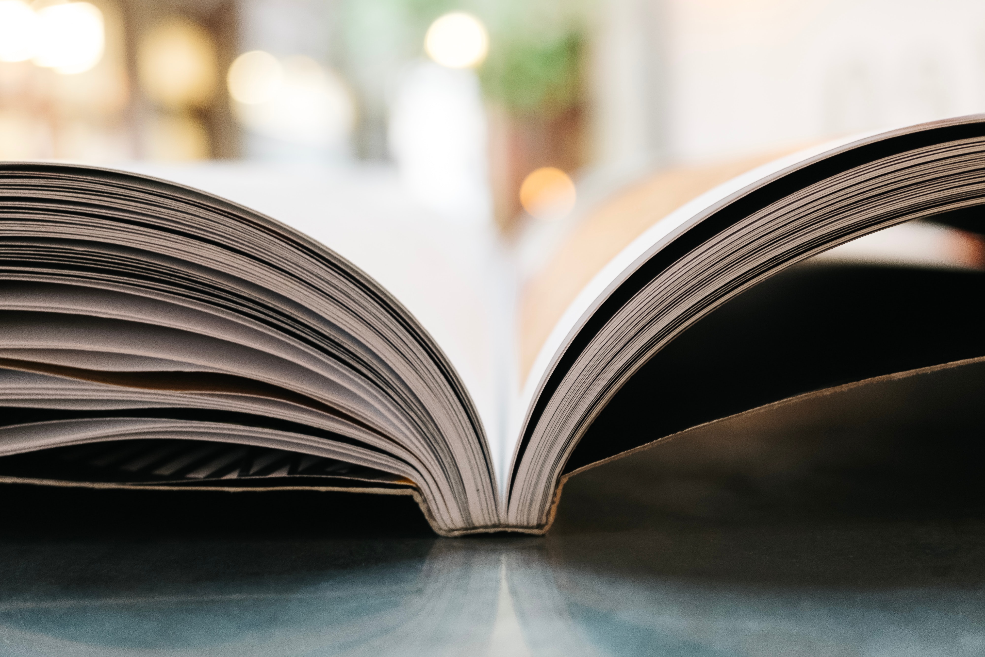 A journal sits open on a table.