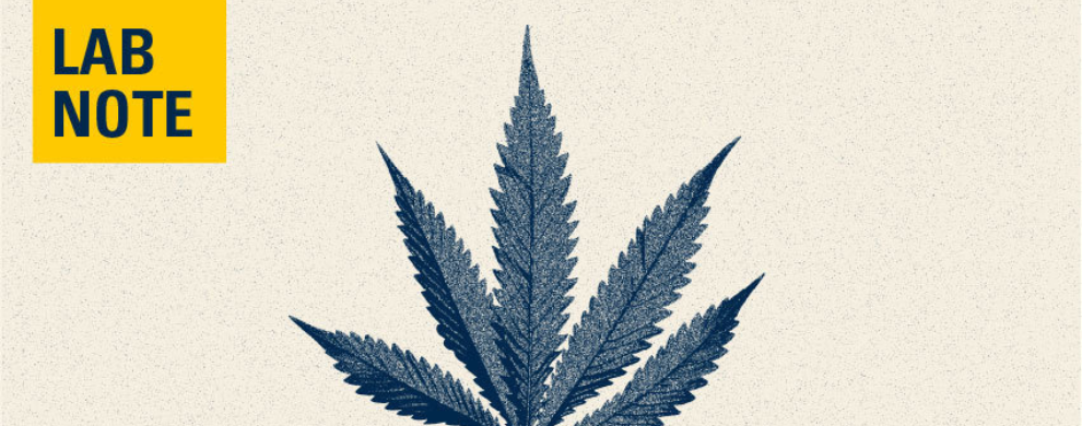 An illustration of a bluish green marijuana leaf is on a cream background. The words "lab note" are in blue on a maize square in the upper left hand corner.